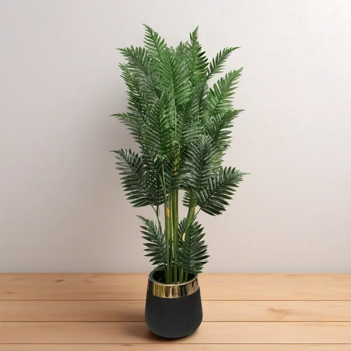 Areca Palm