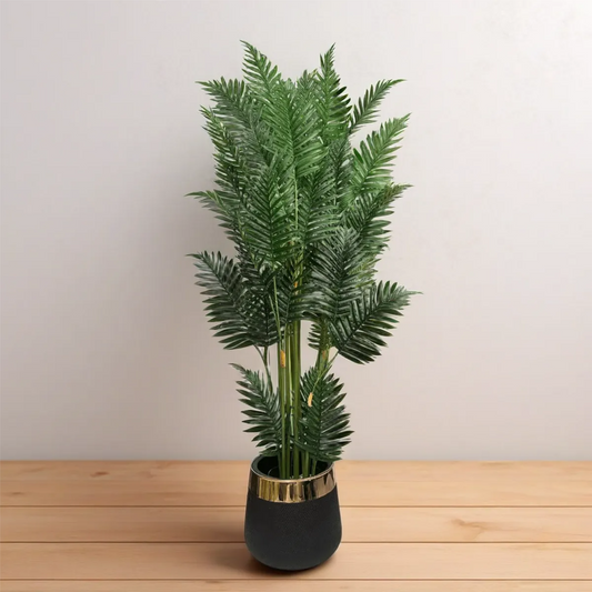 Areca Palm