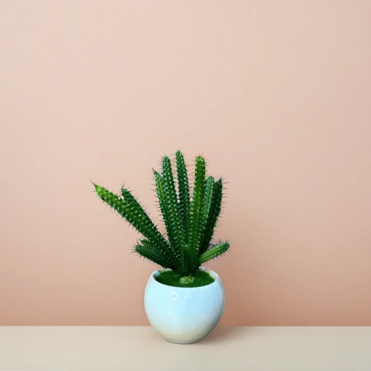 Artificial Potted Cactus