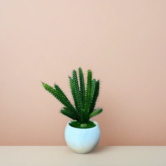 Artificial Potted Cactus