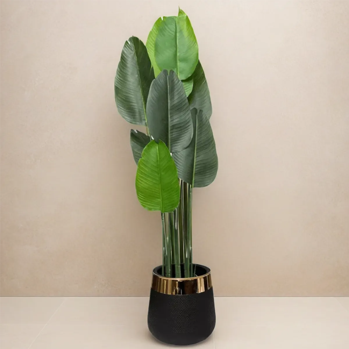 Banana Palm 10-Leaves