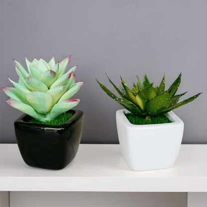 Decorative Small Pot Planter (Set Of 2 )