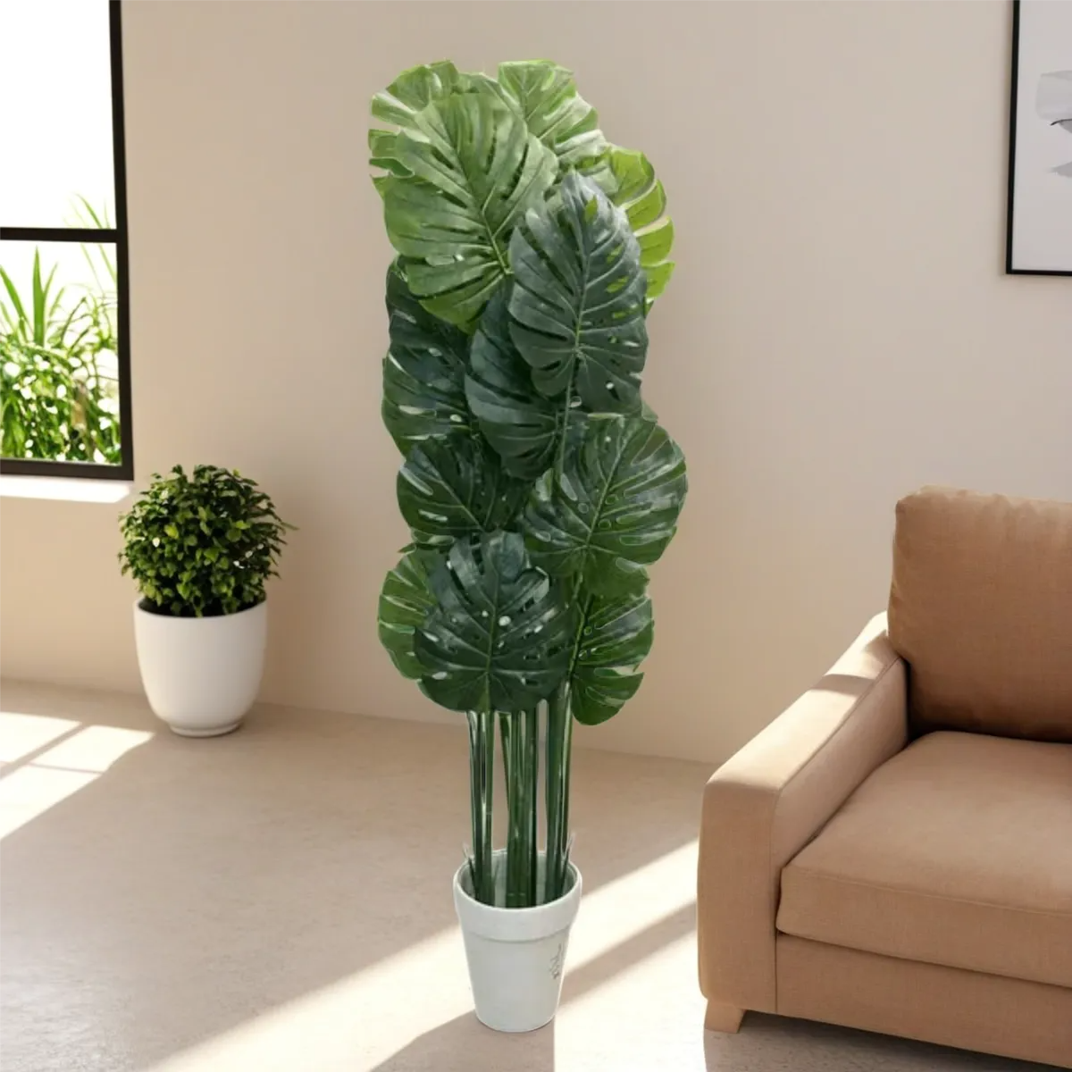 Monstralia Plant